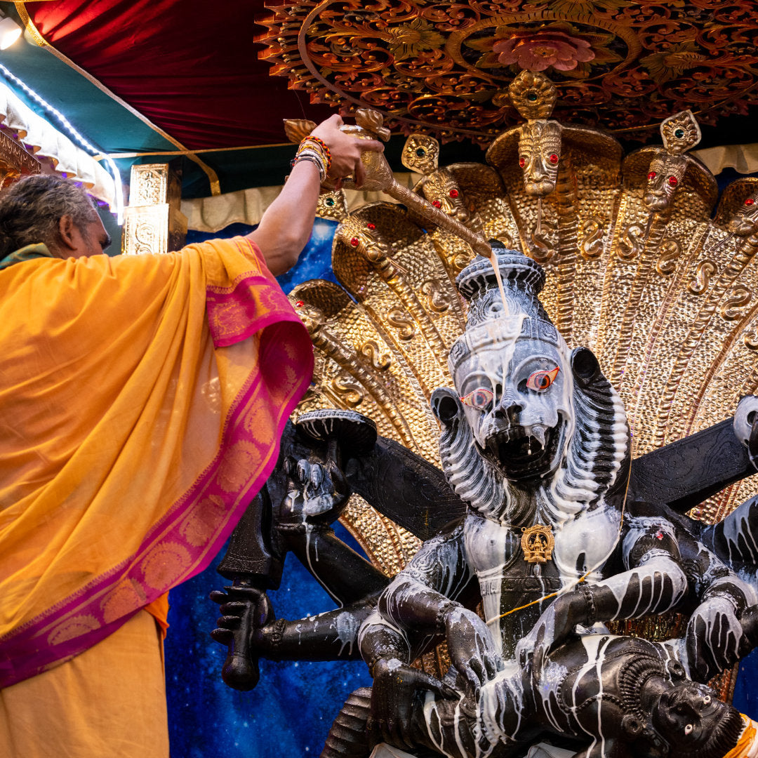 NARASIMHA CHATURDASHI WITH PARAMAHAMSA VISHWANANDA