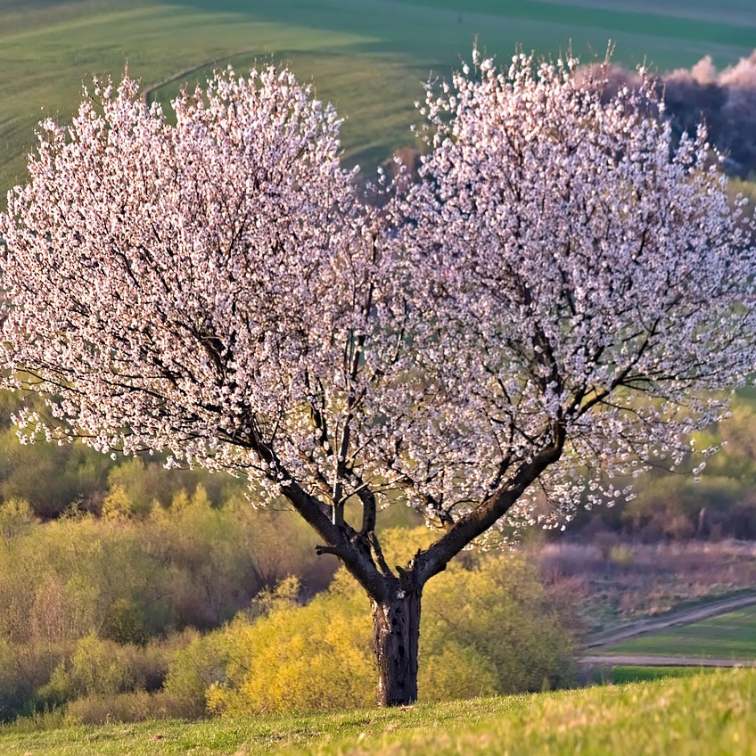 RECEIVING GRACE – SPIRITUAL GROWTH WORKSHOP 1