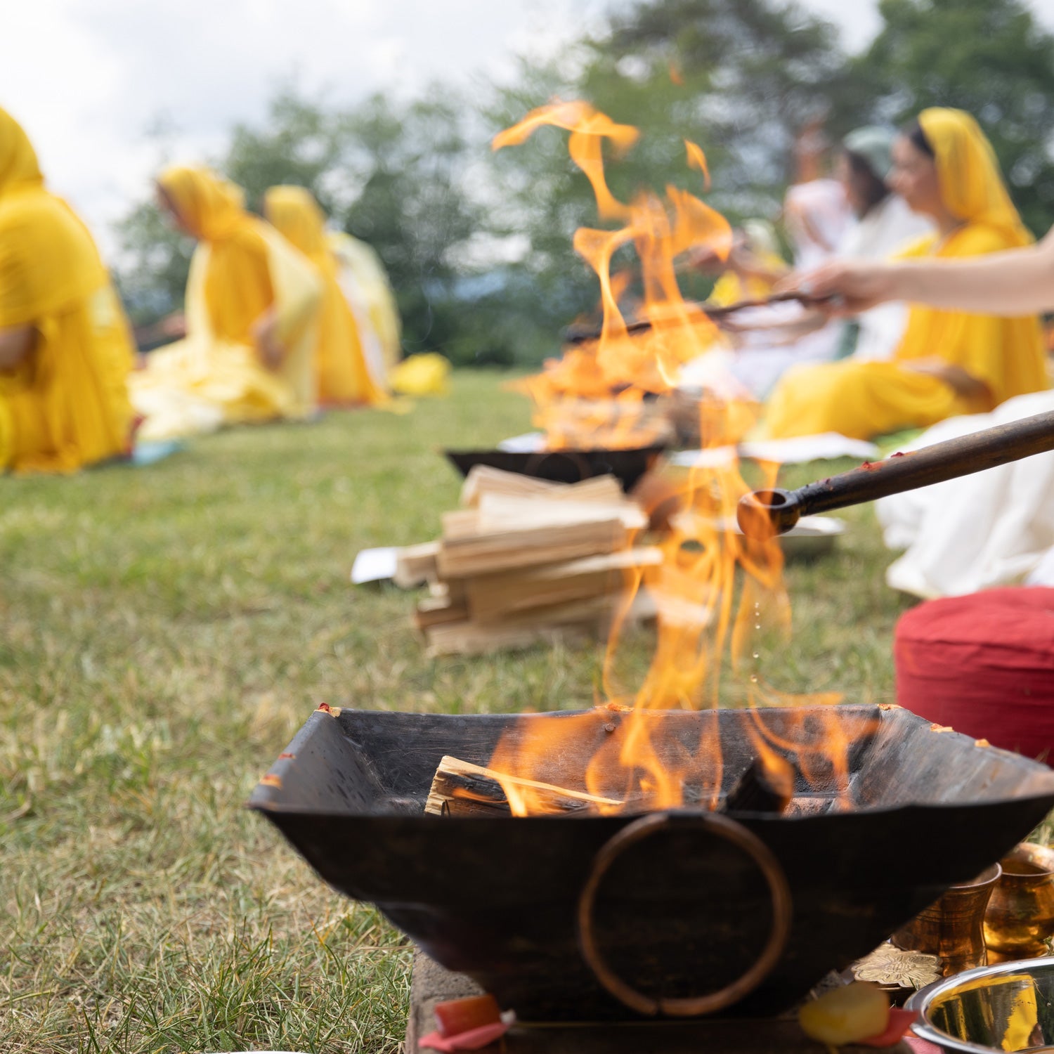 108 PERSONAL YAJNAS FOR PARAMAHAMSA VISHWANANDA 2026